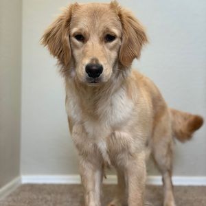 Meet your Posher, Esmeralda